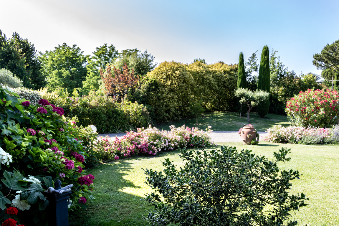 Servizi per il Verde - Progettazione Giardini | Cooperativa Il Mandorlo